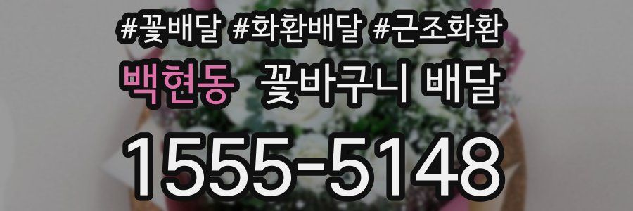 백현동 꽃바구니 배달