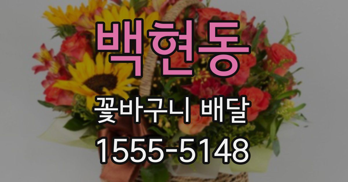 백현동 꽃바구니 배달