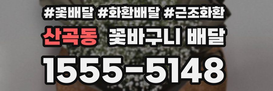 산곡동 꽃바구니 배달