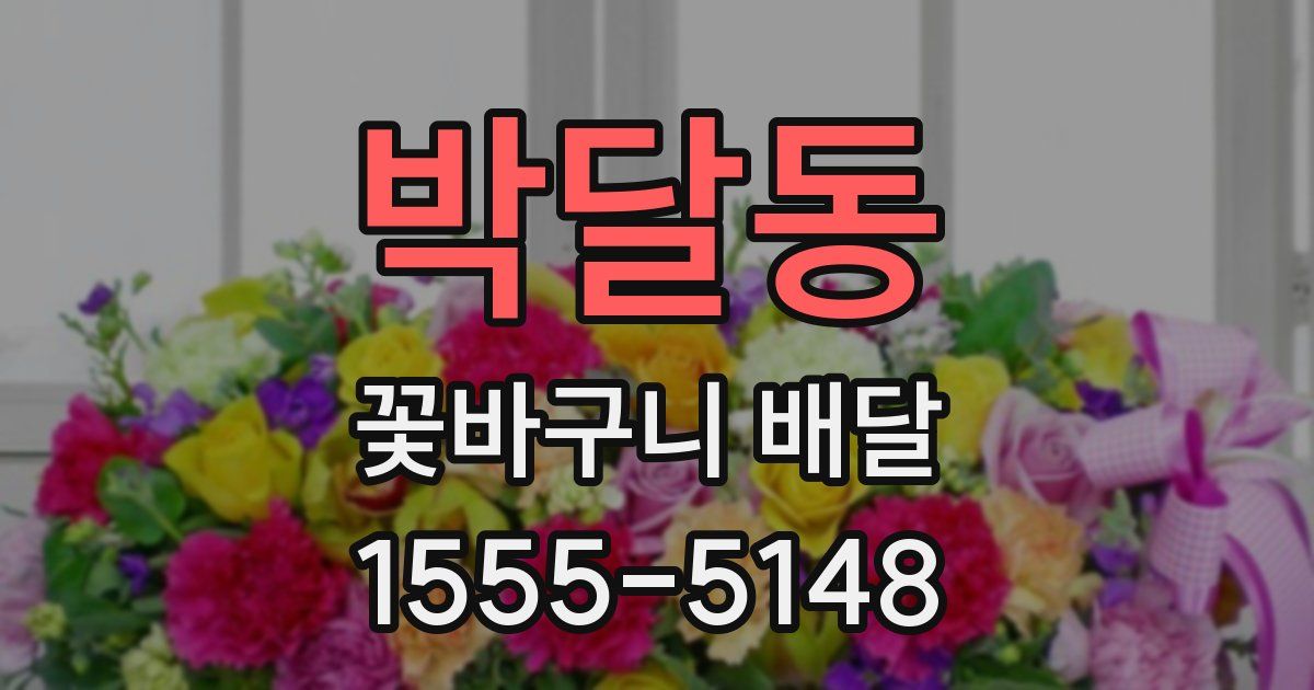 박달동 꽃바구니 배달