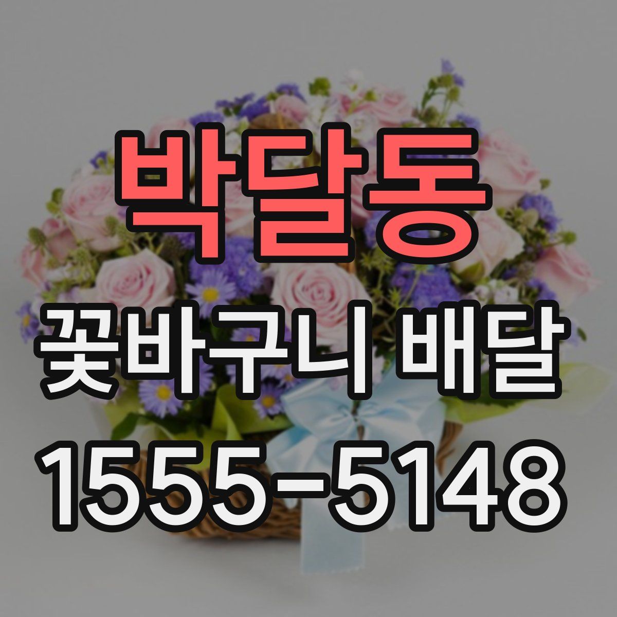 박달동 꽃바구니 배달
