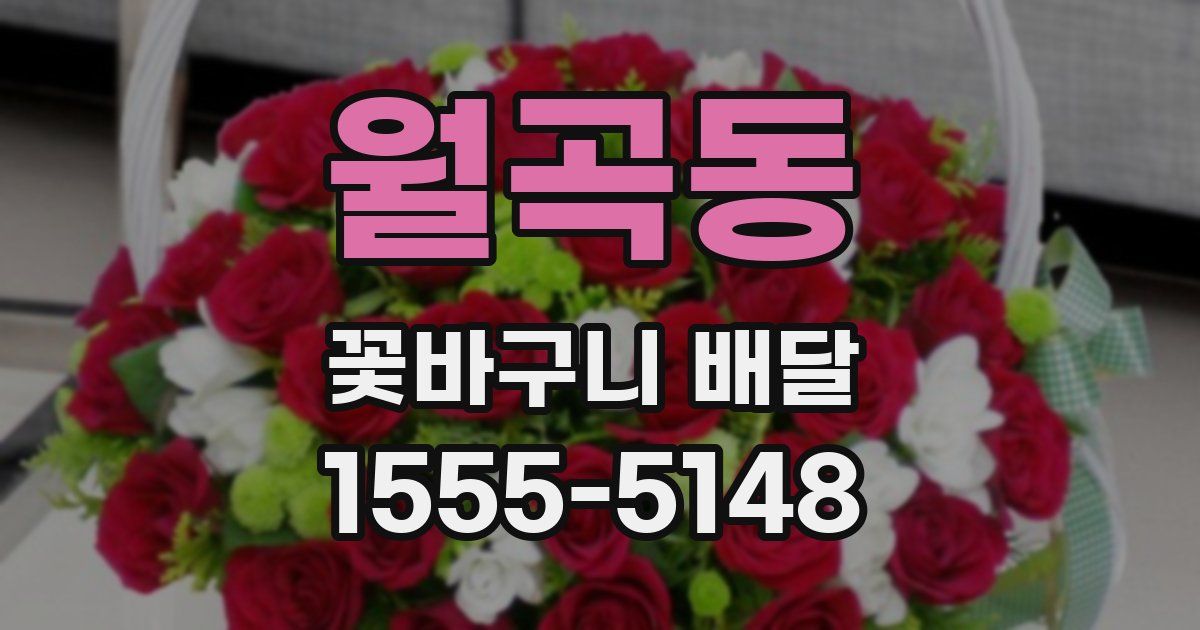 월곡동 꽃바구니 배달