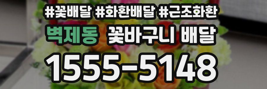 벽제동 꽃바구니 배달