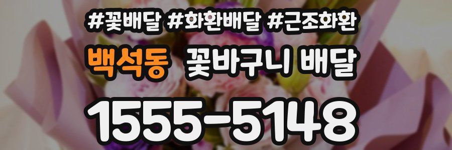 백석동 꽃바구니 배달