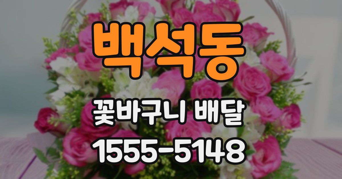 백석동 꽃바구니 배달