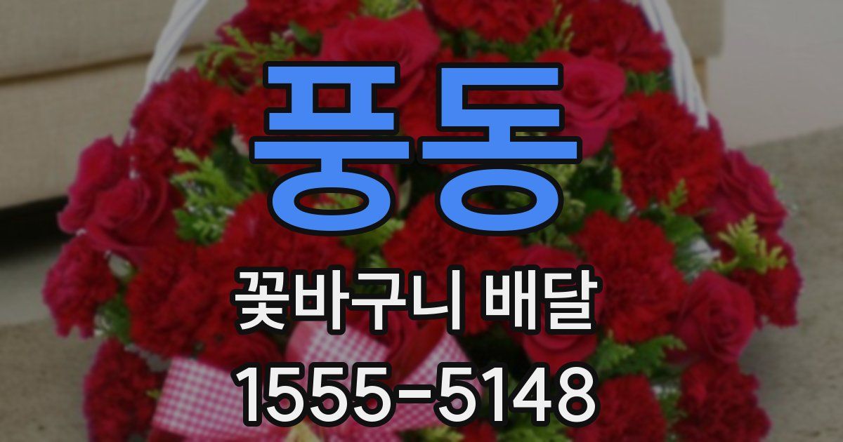 풍동 꽃바구니 배달