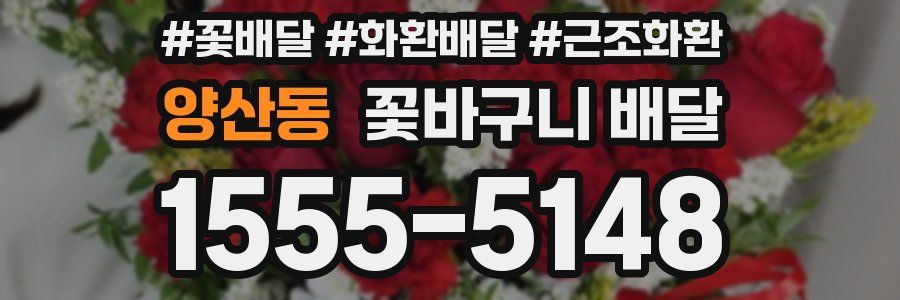 양산동 꽃바구니 배달