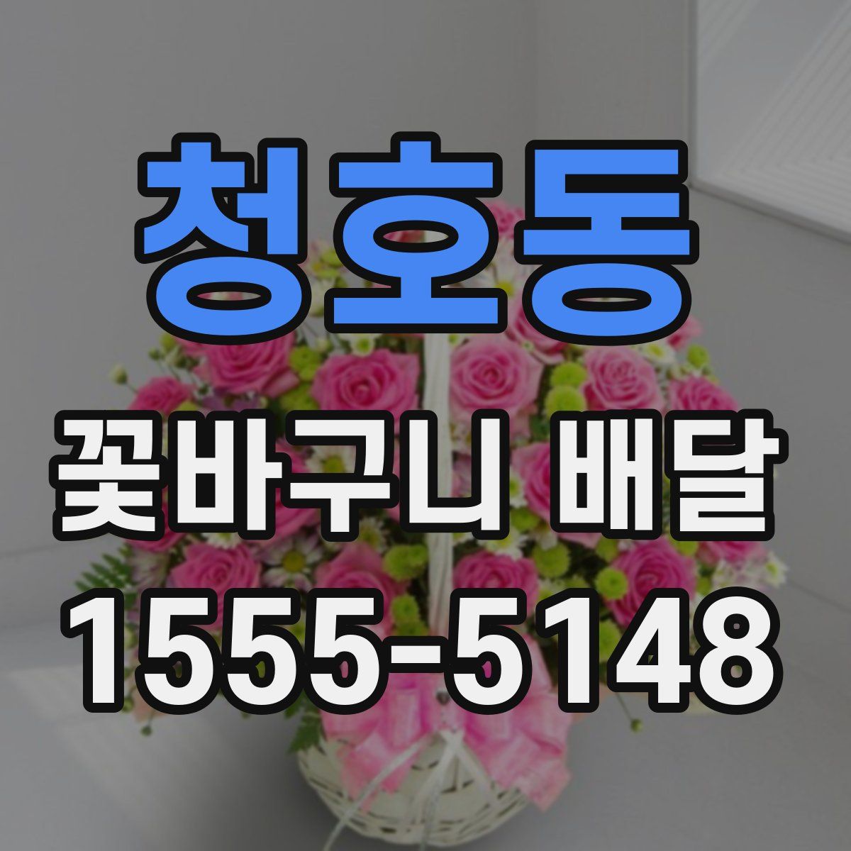 청호동 꽃바구니 배달