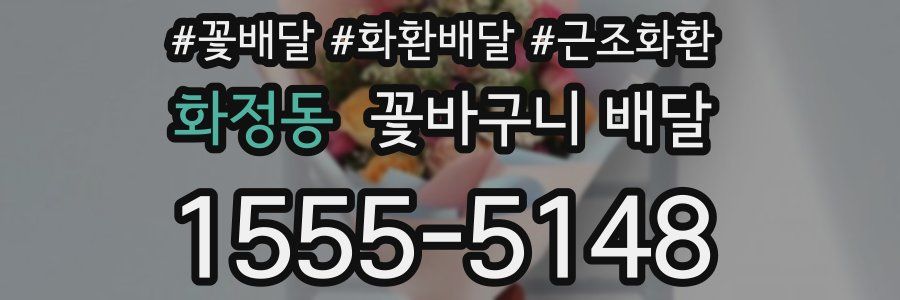 화정동 꽃바구니 배달