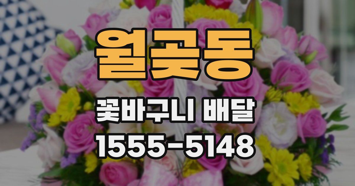 월곶동 꽃바구니 배달