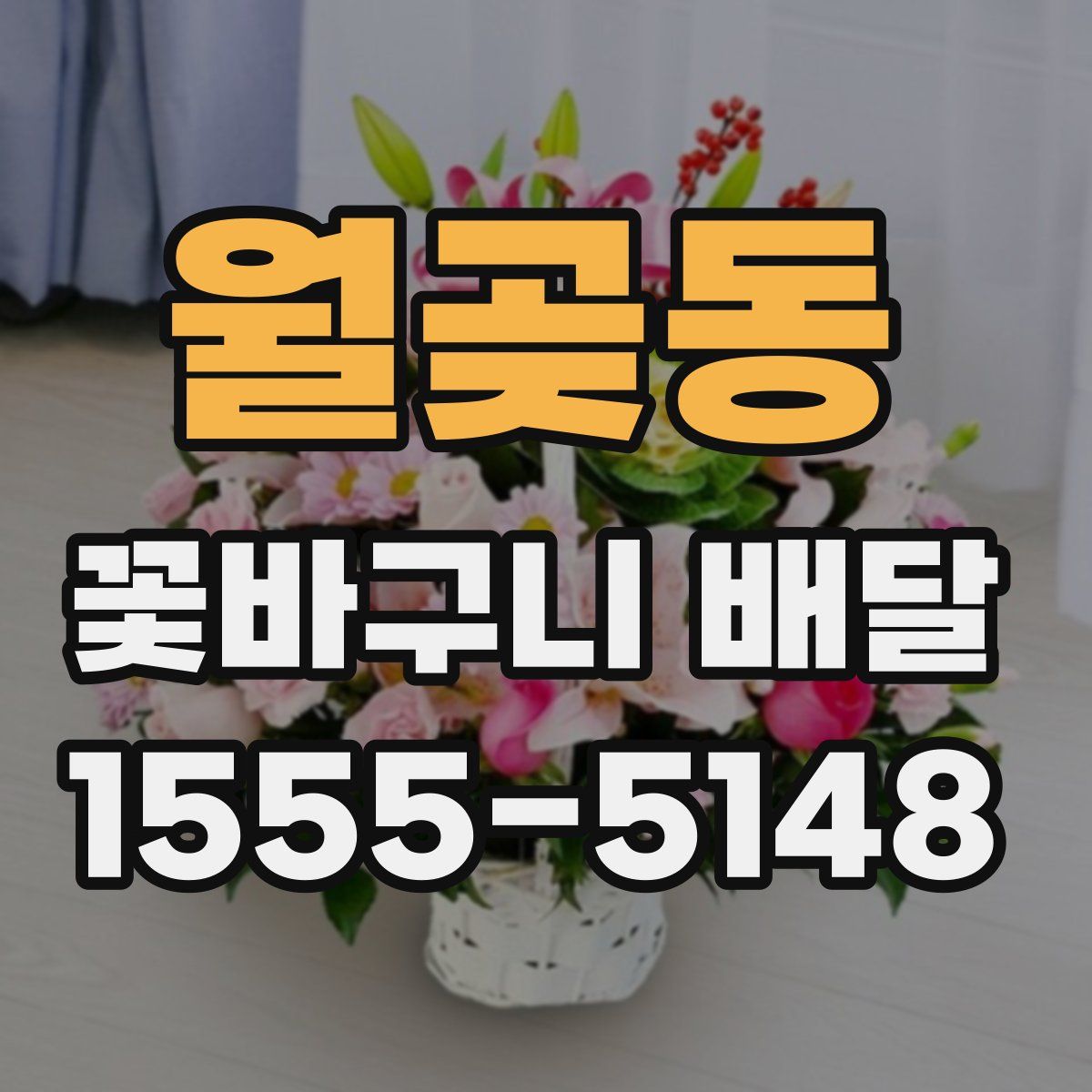 월곶동 꽃바구니 배달