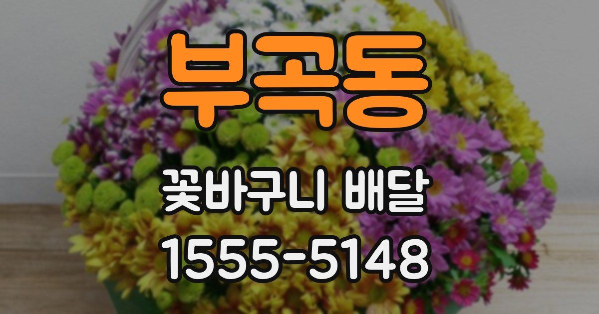 부곡동 꽃바구니 배달