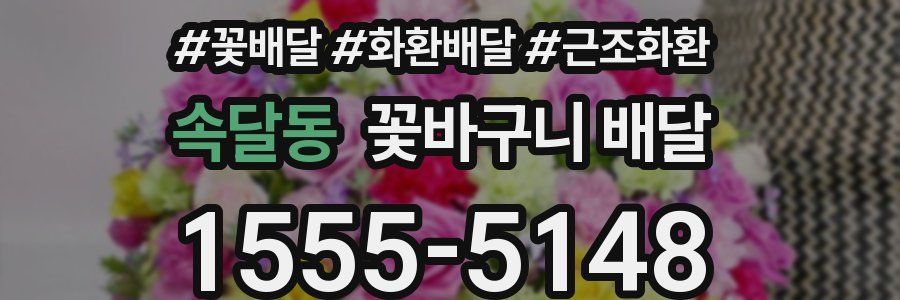 속달동 꽃바구니 배달
