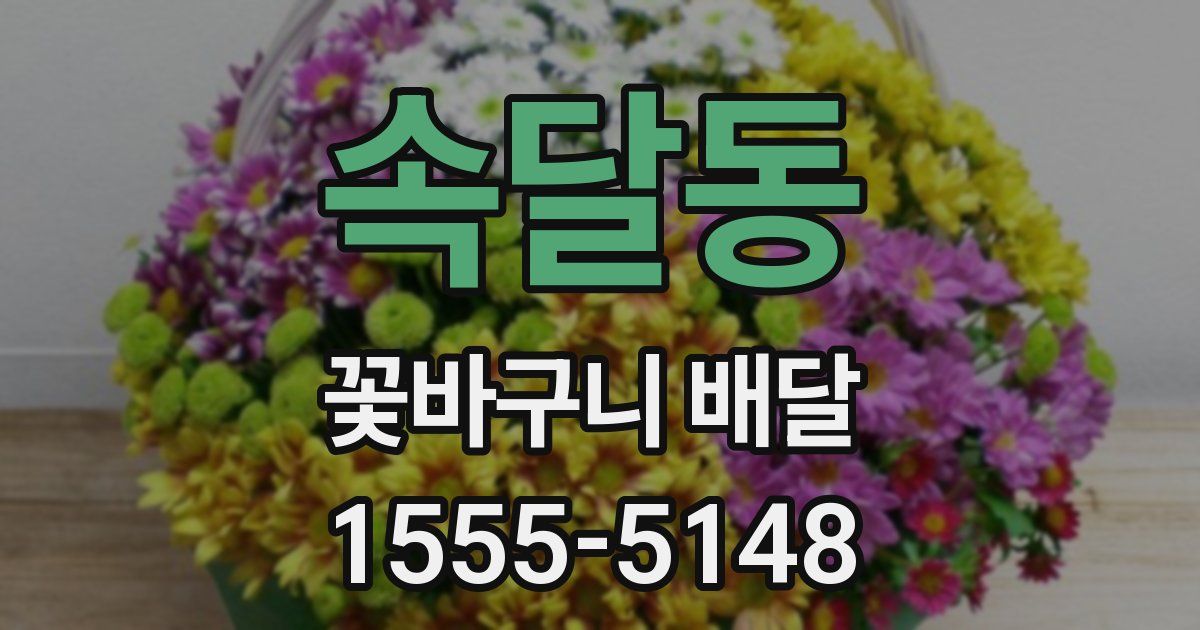속달동 꽃바구니 배달