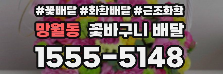 망월동 꽃바구니 배달