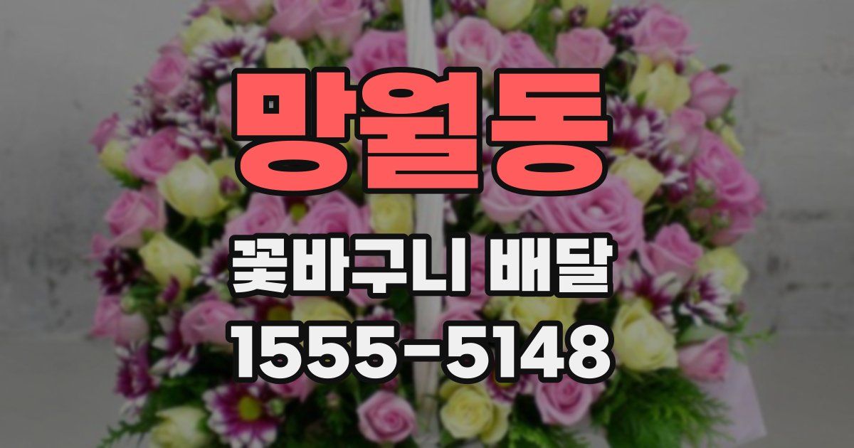 망월동 꽃바구니 배달