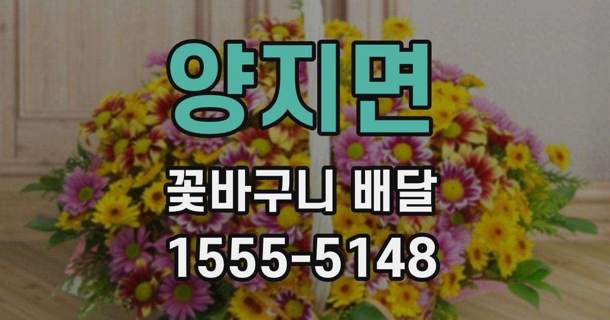 양지면 꽃바구니 배달