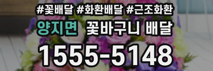 양지면 꽃바구니 배달