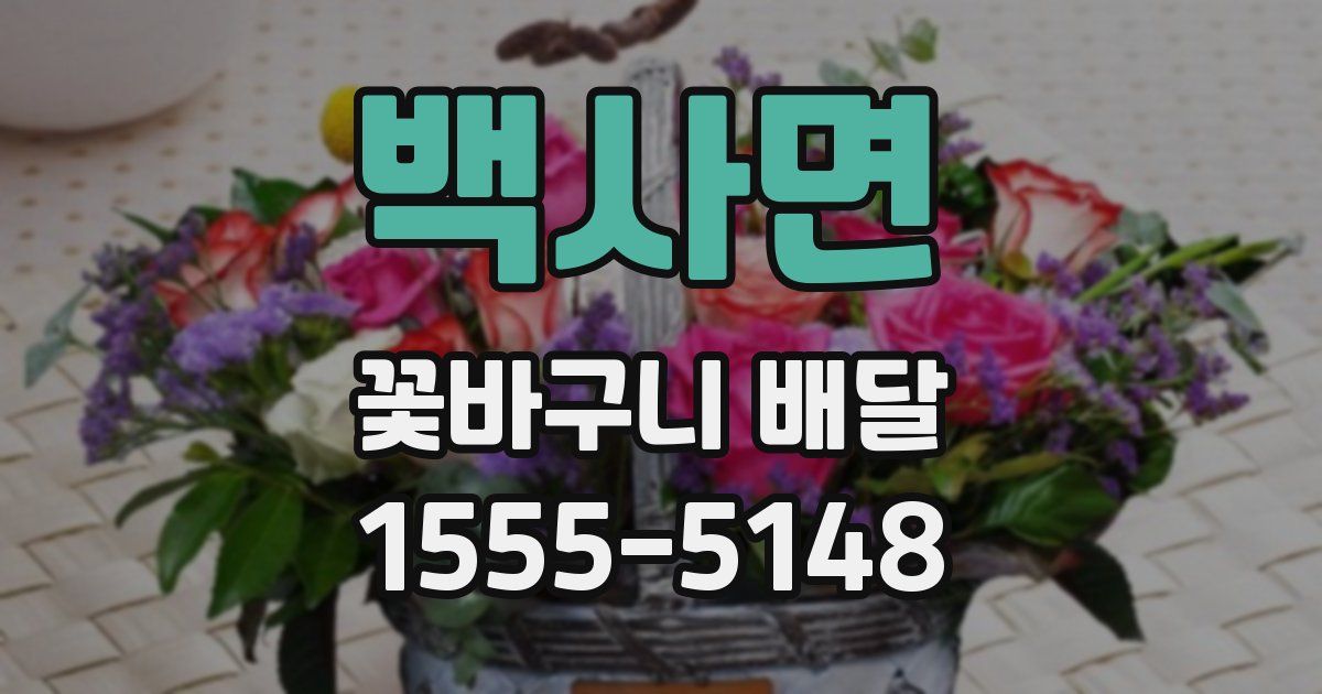 백사면 꽃바구니 배달