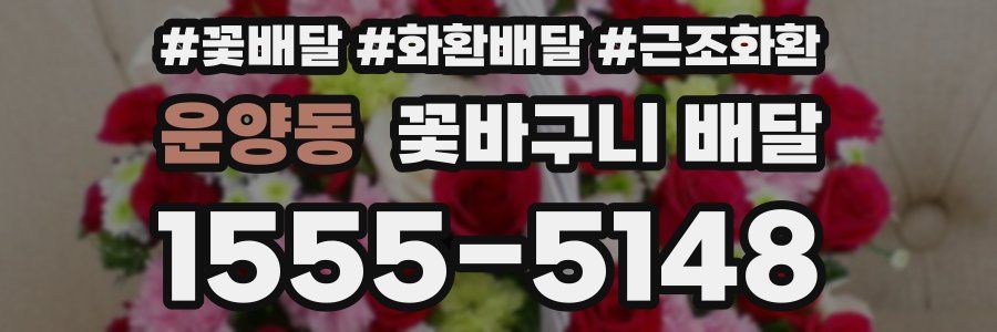 운양동 꽃바구니 배달