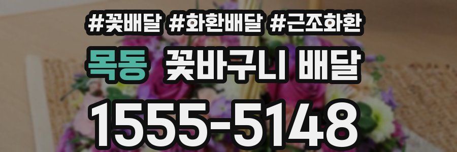 목동 꽃바구니 배달
