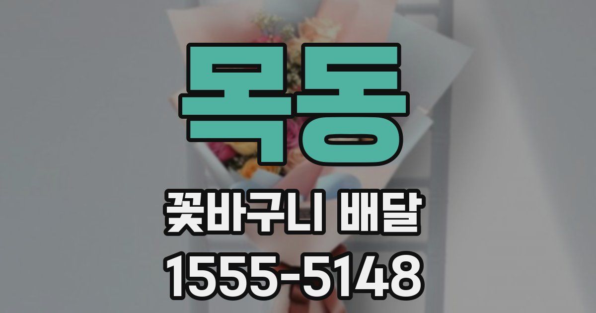 목동 꽃바구니 배달