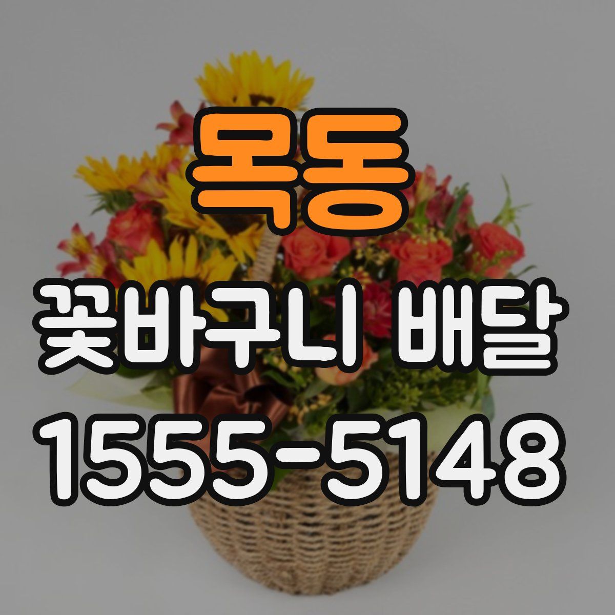 목동 꽃바구니 배달