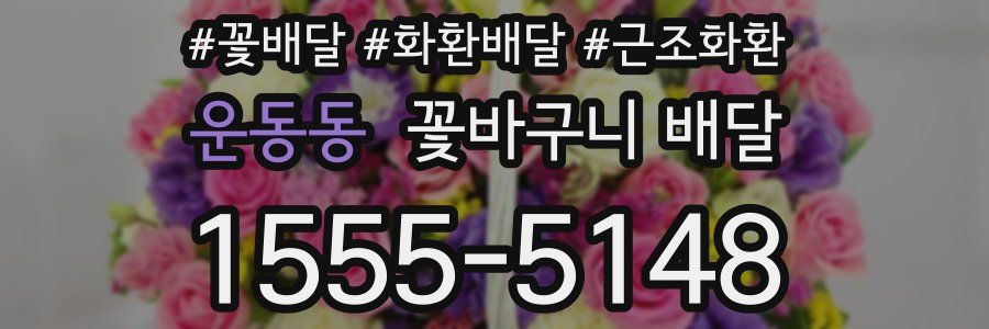 운동동 꽃바구니 배달