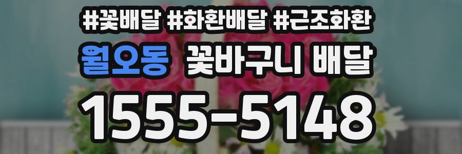 월오동 꽃바구니 배달