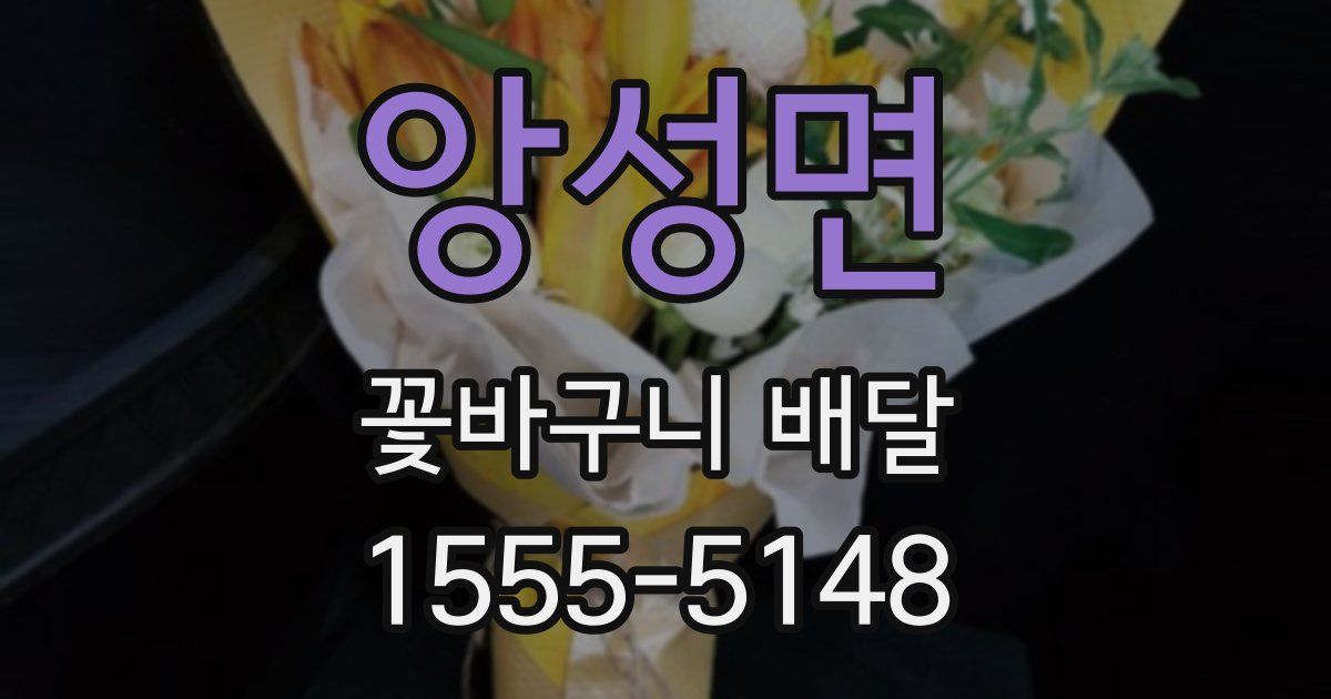앙성면 꽃바구니 배달