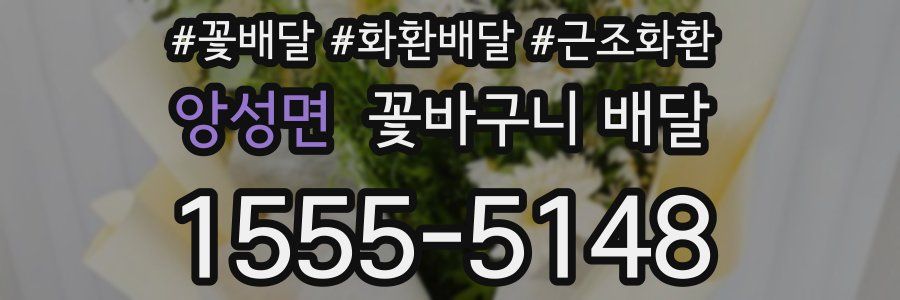 앙성면 꽃바구니 배달