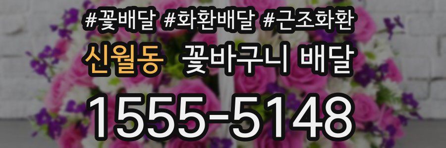 신월동 꽃바구니 배달