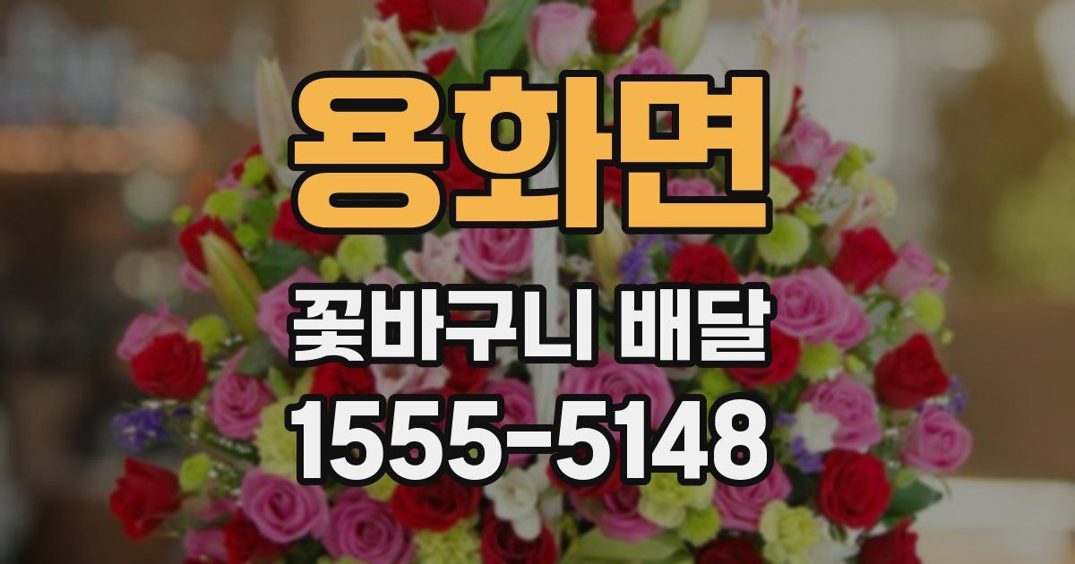 용화면 꽃바구니 배달