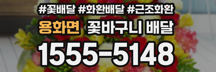 용화면 꽃바구니 배달