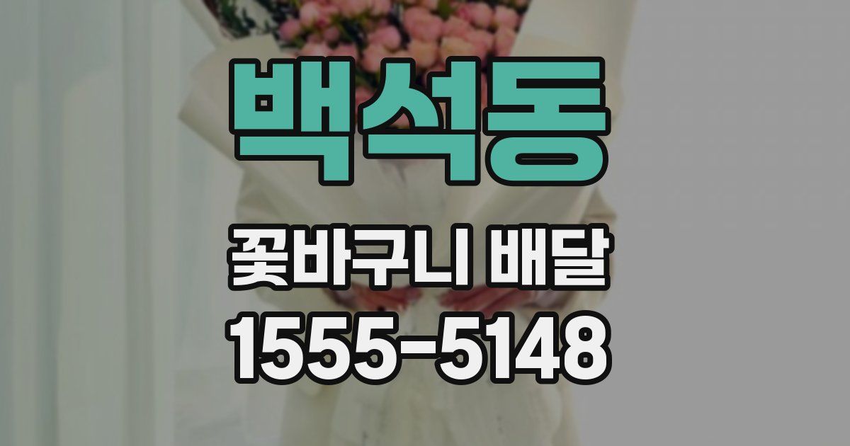 백석동 꽃바구니 배달