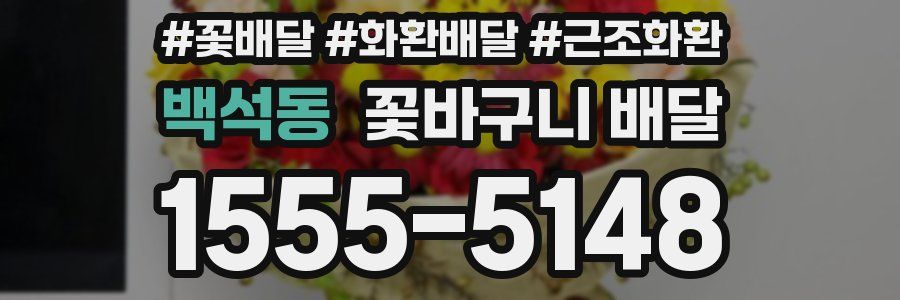 백석동 꽃바구니 배달