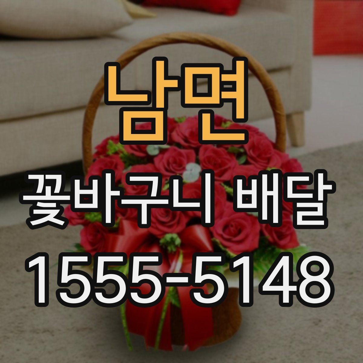 남면 꽃바구니 배달 포장 스타일별 인상 비교