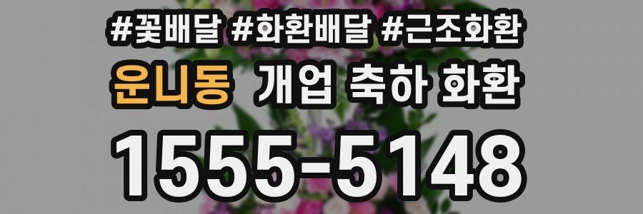 운니동 개업 축하 화환
