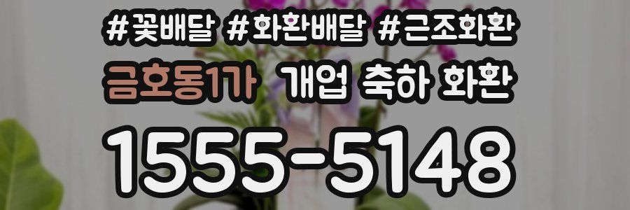 금호동1가 개업 축하 화환