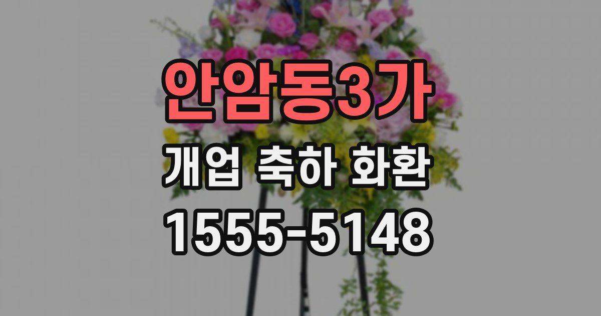 안암동3가 개업 축하 화환