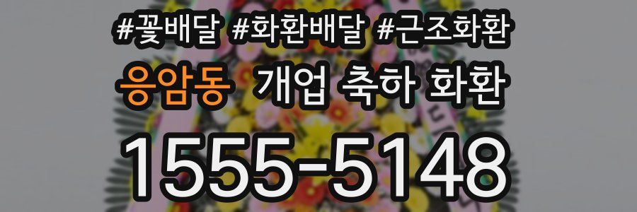 응암동 개업 축하 화환