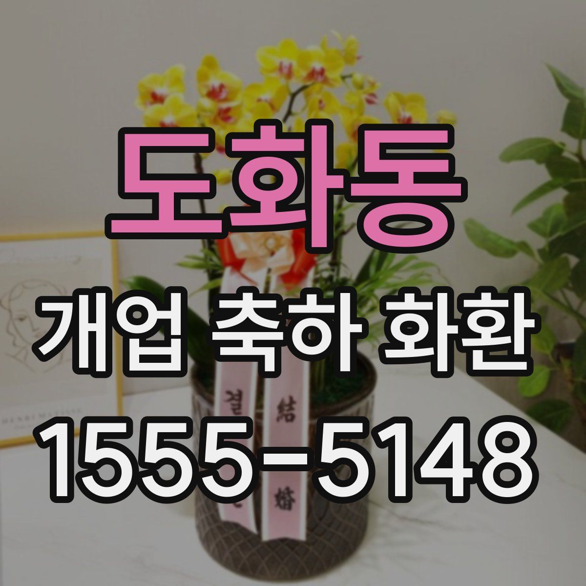 도화동 개업 축하 화환