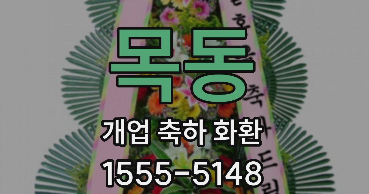 목동 개업 축하 화환