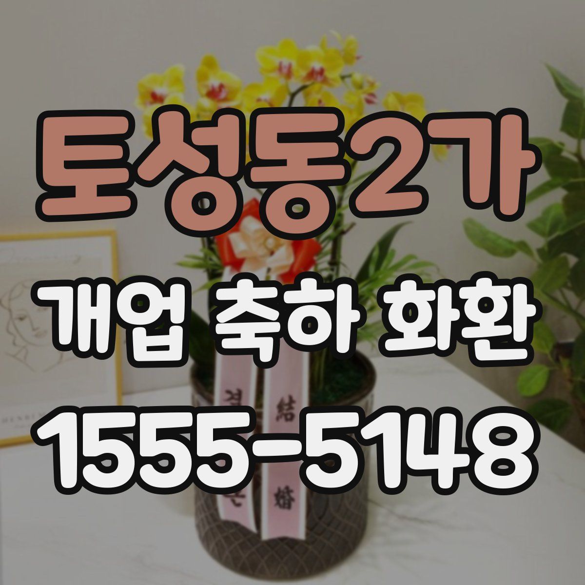 토성동2가 개업 축하 화환