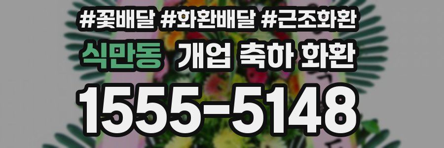 식만동 개업 축하 화환