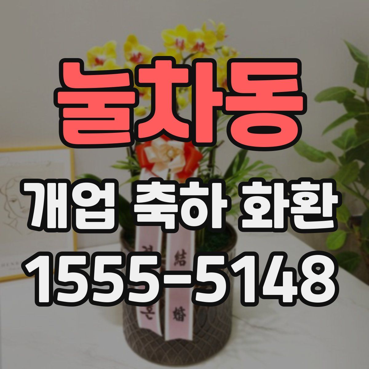 눌차동 개업 축하 화환