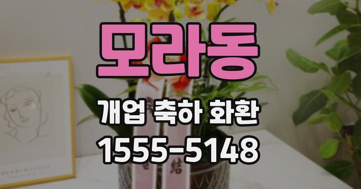 모라동 개업 축하 화환