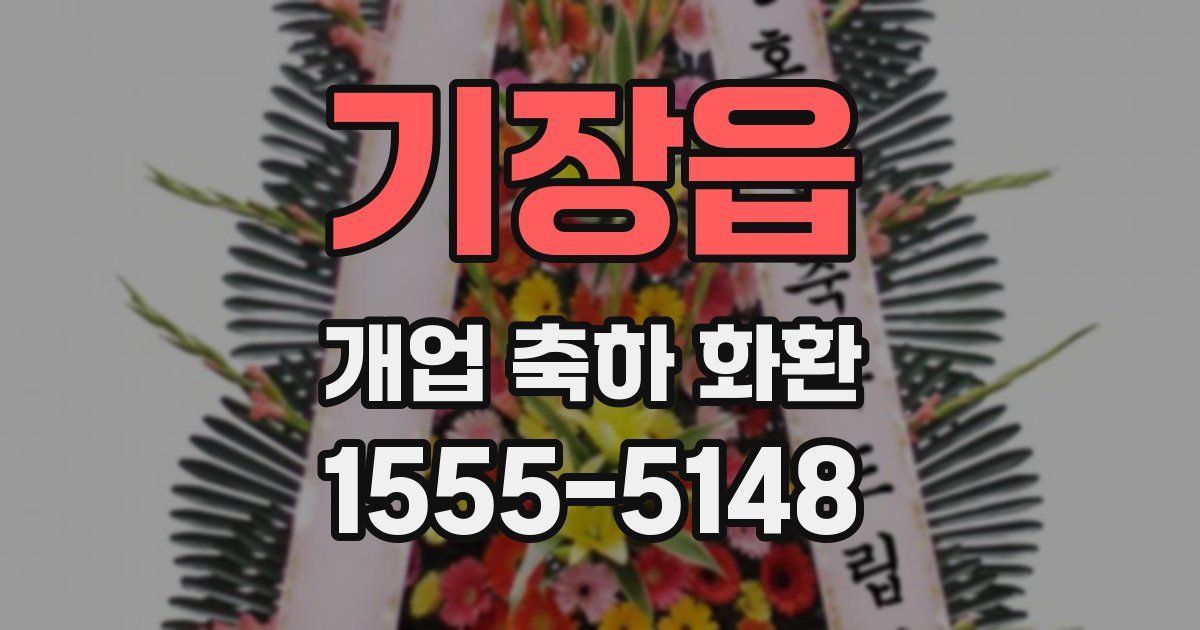 기장읍 개업 축하 화환