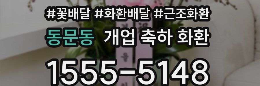 동문동 개업 축하 화환