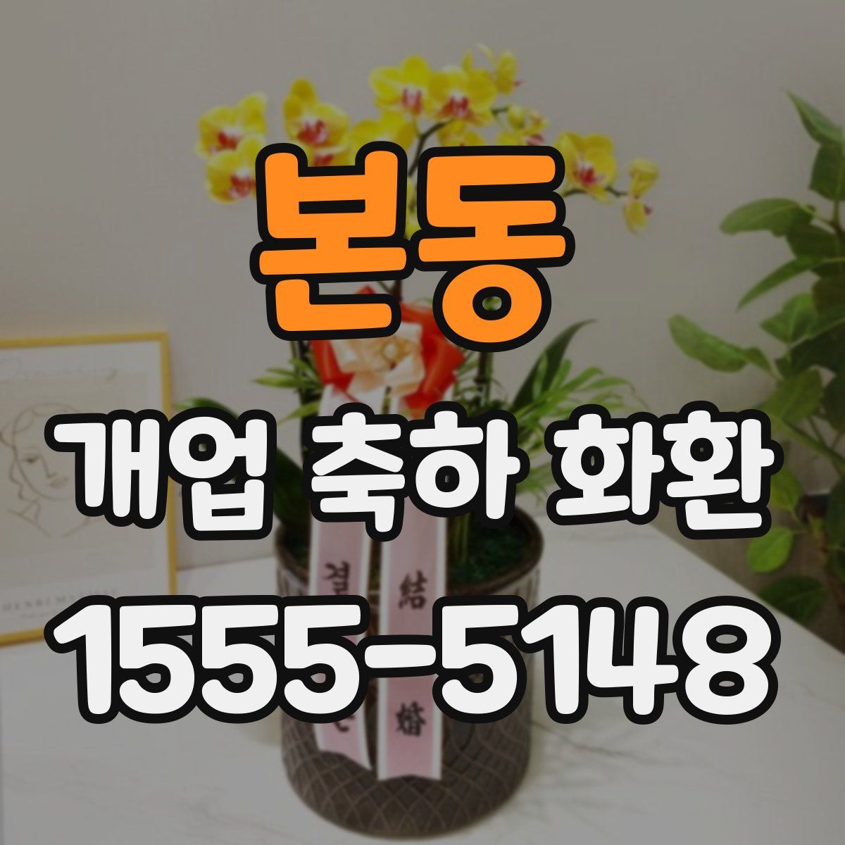 본동 개업 축하 화환